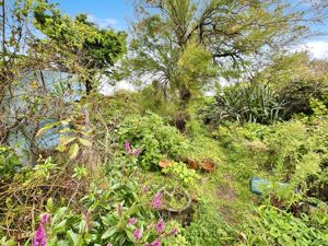 Garden- click for photo gallery